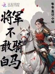 将军不敢骑白马,盖惧其易识也